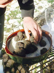 truffle in provence