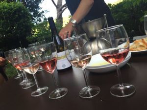 Provence Wine Tour
