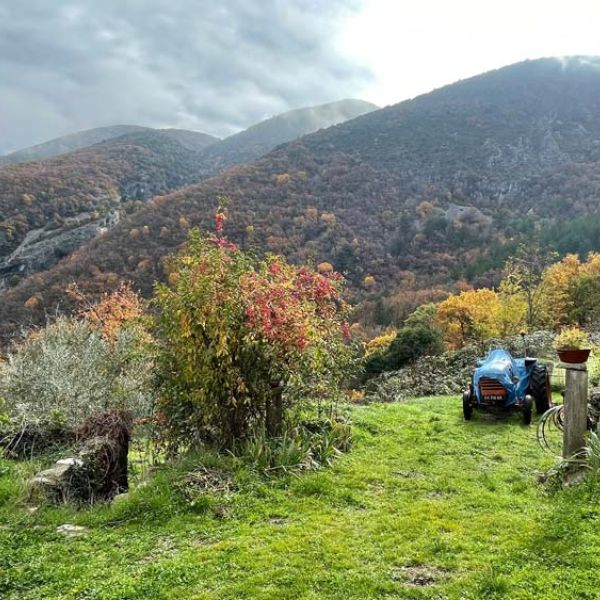 fall French countryside tour and tractor with a view