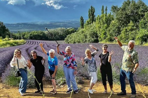Provence lavender tours