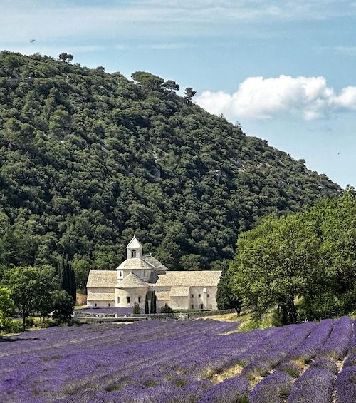 Abbaye de Senanque