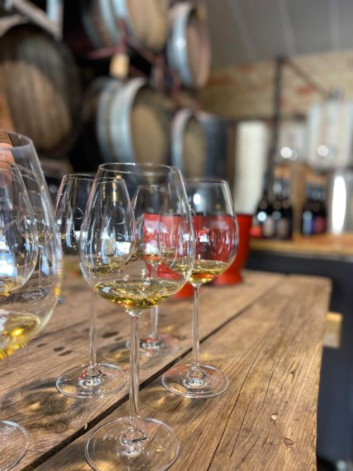 wine tasting at Provencal winery tour