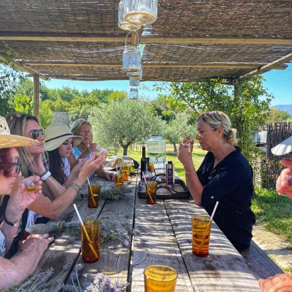 small group tour olive oil tasting at Provence olive grower