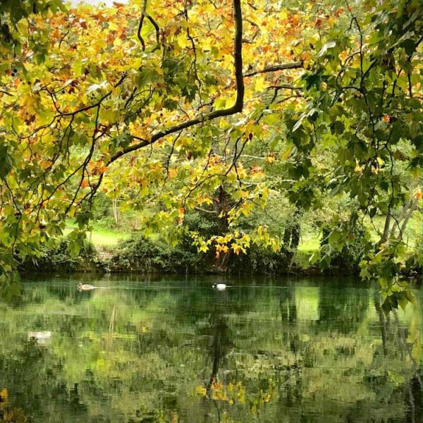Sorgue River in France