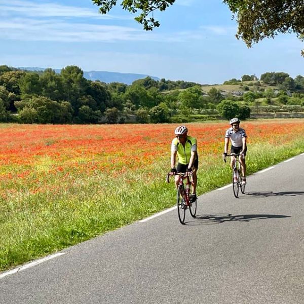 custom private cycling tour of Provence France
