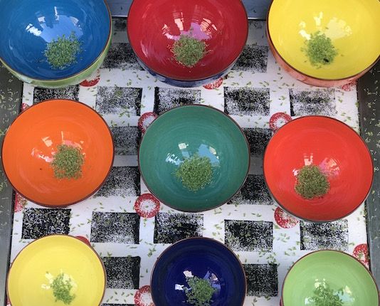 Contemplative Photography