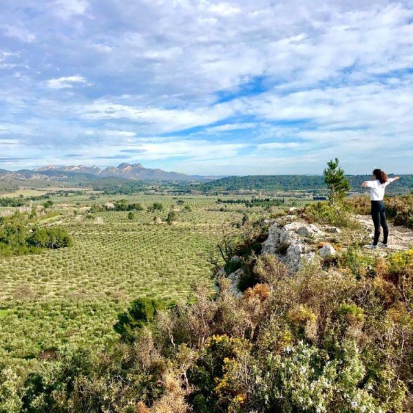 Eloise admiring Alpilles landscape on tour