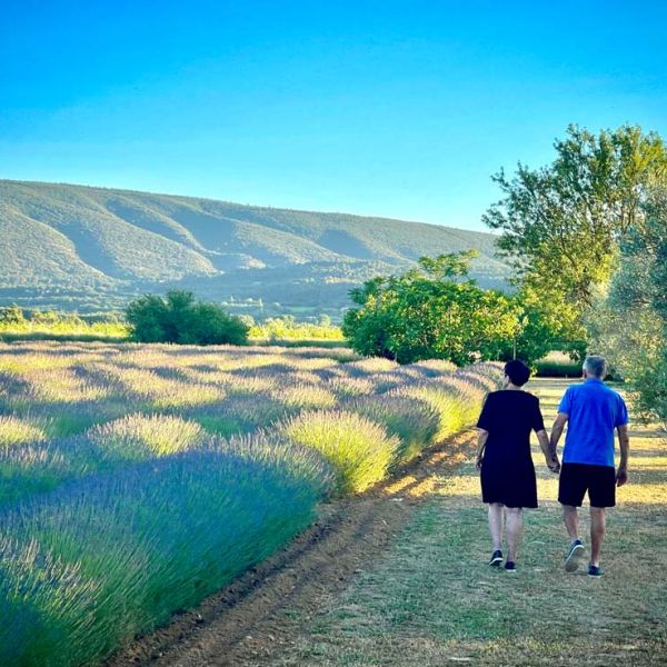 couple walking hand in hand past lavender field on Provence tour