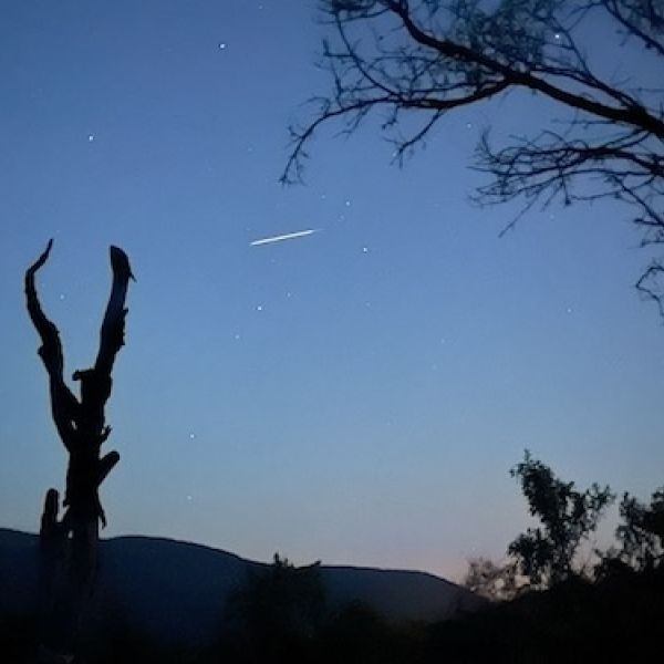 Star gazing