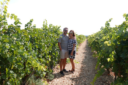 2017 fall day trip custom wine tour in Provence