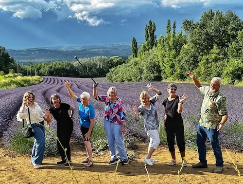 Provence lavender tours