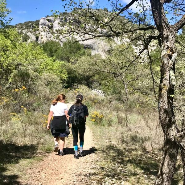 private small group hiking tours in Provence