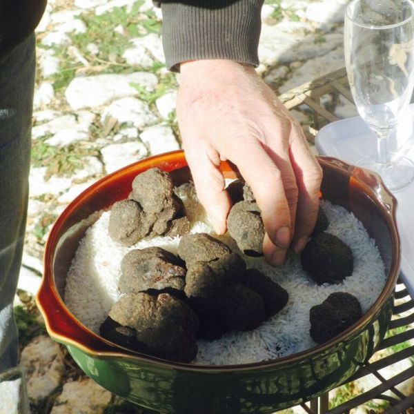 truffle in provence