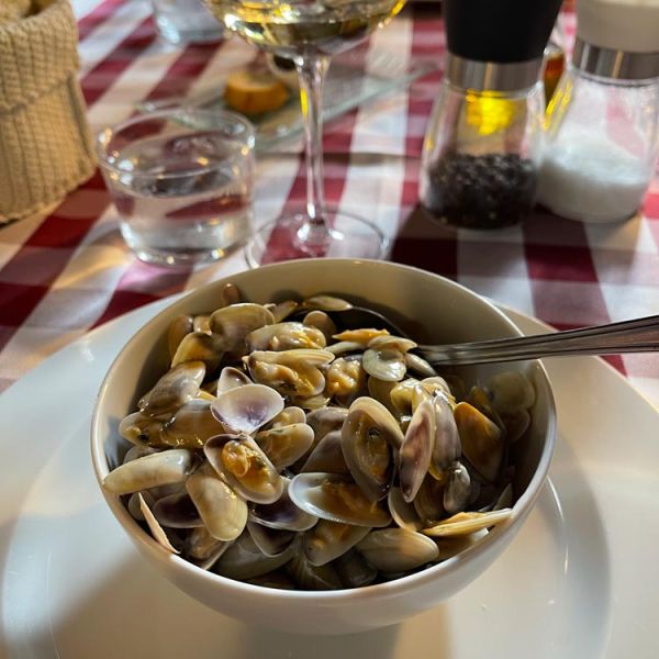 Camargue tellines and French wine