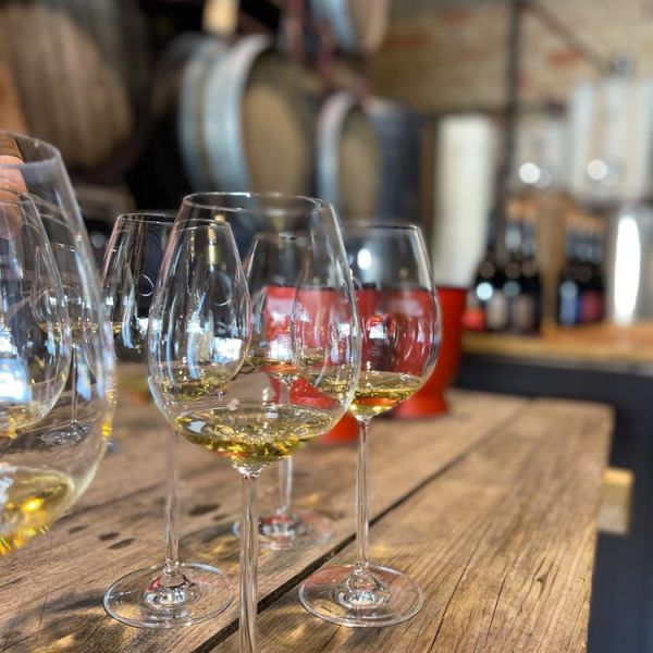 wine tasting at Provencal winery tour