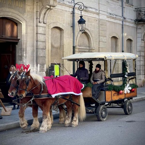 horse-drawn carriage decorated for Christmas