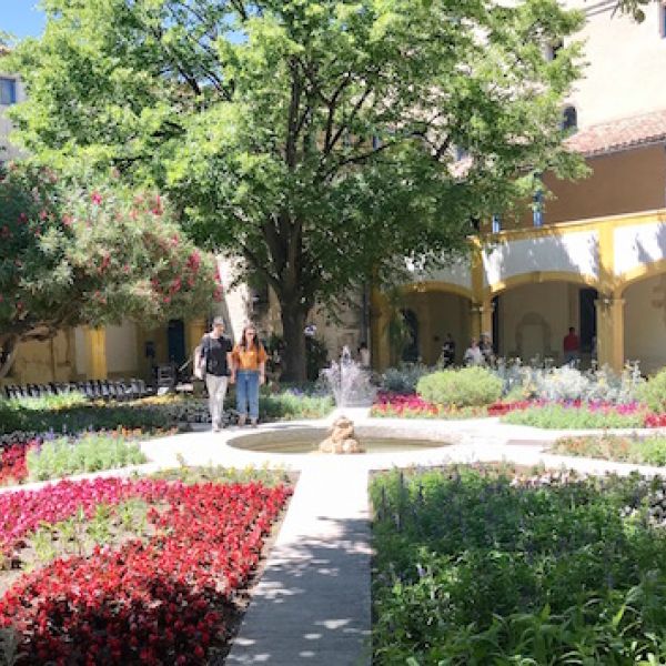 Provence Spring Tour garden in Arles