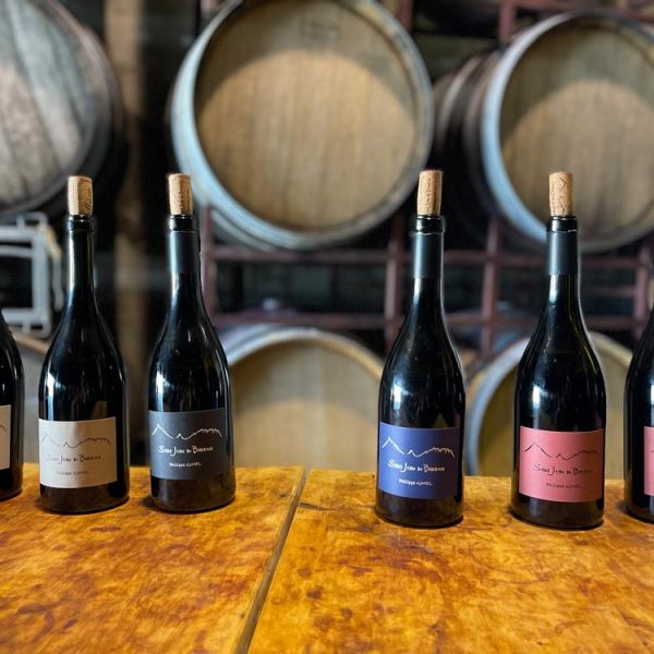 Provence winery tour at Saint Jean de Barroux