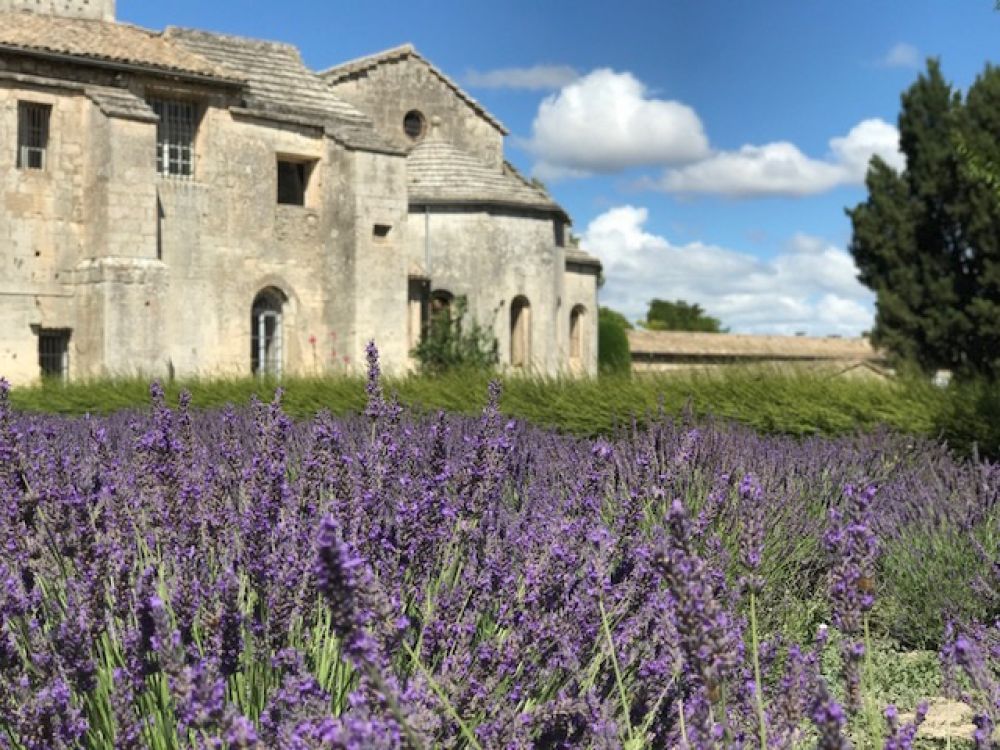 Saint Paul UNESCO World Heritage site in Provence on lavender tour
