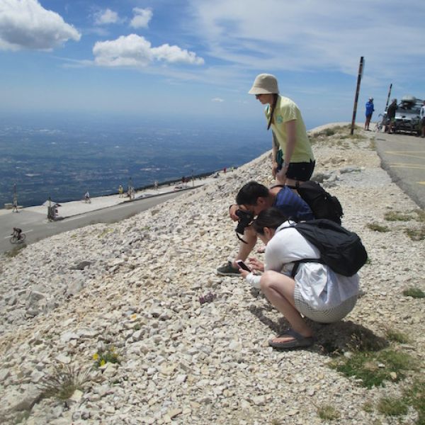 taking photos at top of Mont Ventoux
